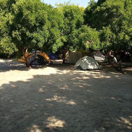 Bed and Breakfast Mida Creek Eco Camp Watamu Zewnętrze zdjęcie