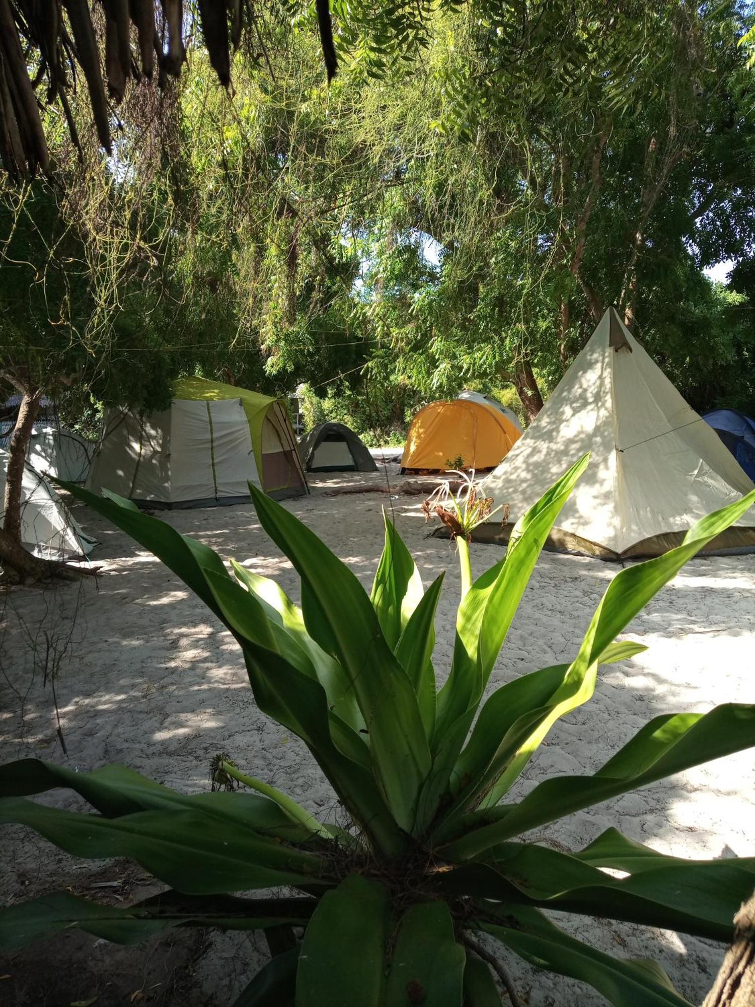 Bed and Breakfast Mida Creek Eco Camp Watamu Zewnętrze zdjęcie